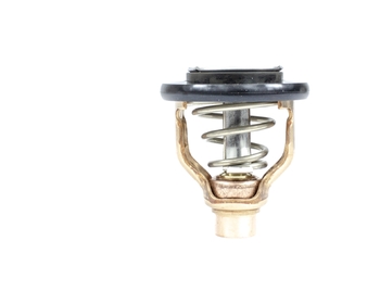 Thermostat Yamaha F300-F350