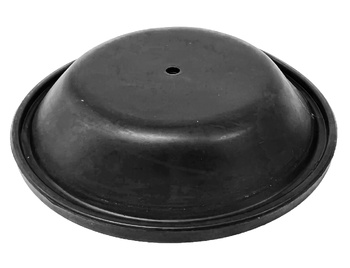 RWB Diaphragm For 2201 Pump